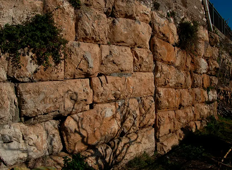 Le mura subito a sud di Porta dell'Elcino, con blocchi parallelepipedi bugnati, parte delle mura poligonali di Segni.